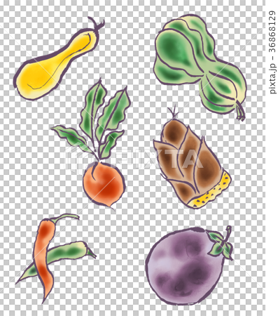 京野菜のイラスト素材